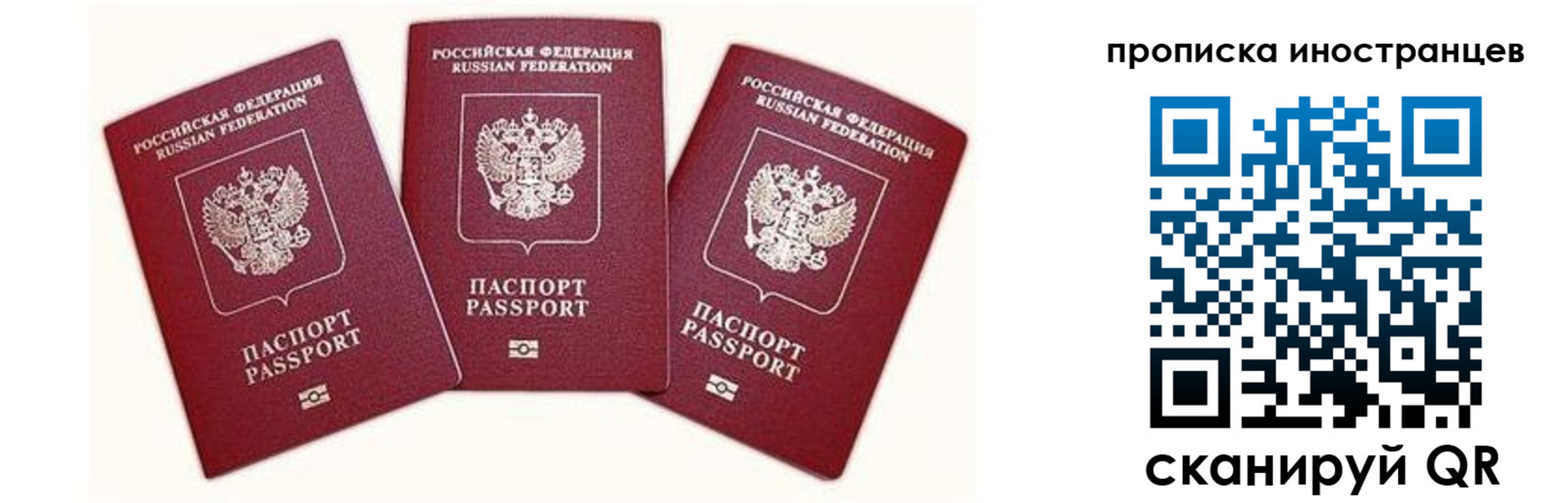 прописка в Оленегорске