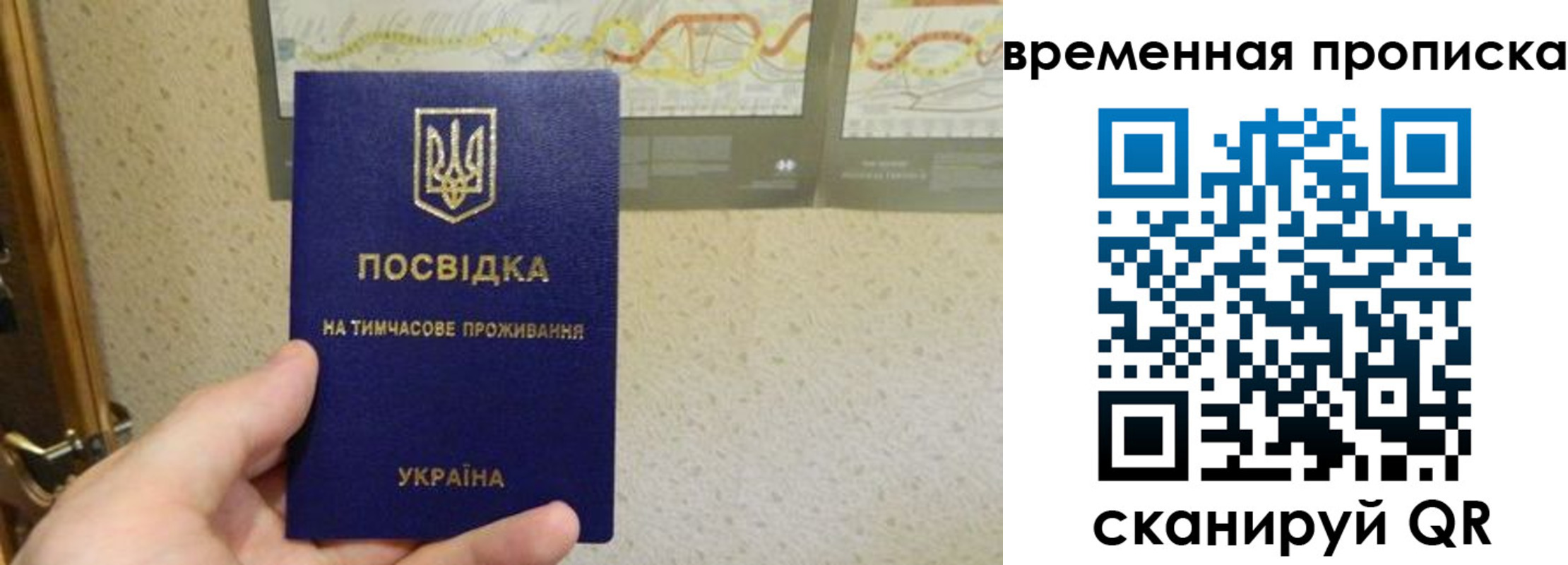 прописка для кредита в Оленегорске