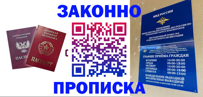 прописка в Оленегорске